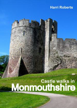 Cover of the book Castle Walks in Monmouthshire by Siddhartha Sinha
