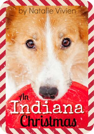 Book cover of An Indiana Christmas
