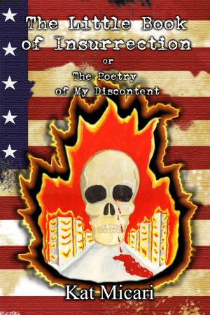 Book cover of The Little Book of Insurrection or the Poetry of My Discontent