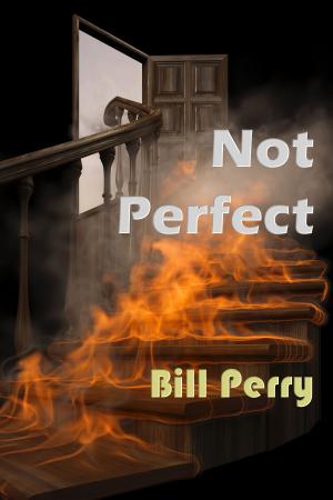 Cover of the book Not Perfect by Stephen B. Pearl