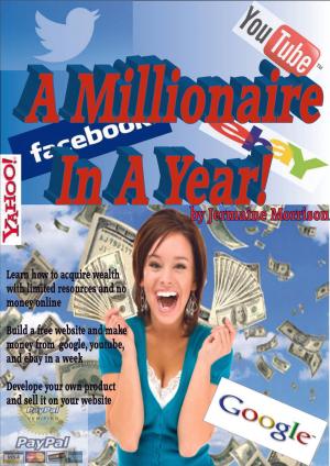 Cover of the book A Millionaire In A Year by Dan Boudreau