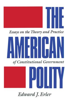 Cover of the book The American Polity by Stephen Buzdugan, Anthony Payne