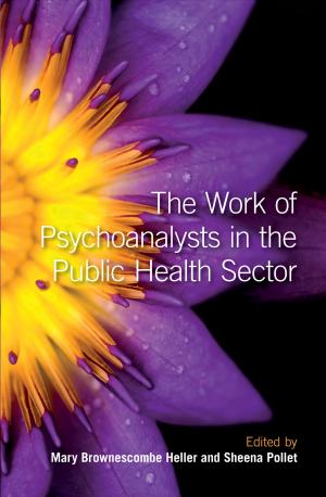 Cover of the book The Work of Psychoanalysts in the Public Health Sector by 