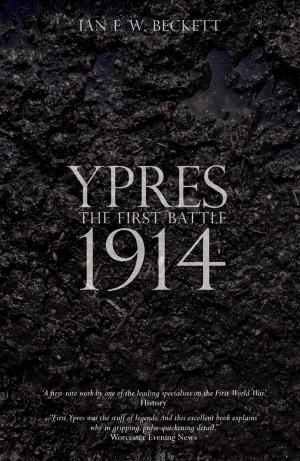 Cover of the book Ypres by Brigitte L. Nacos