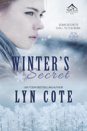 Book cover of Winter's Secret