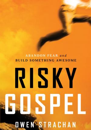 Cover of the book Risky Gospel by Lindsay Harrel