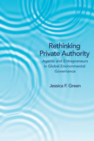 Cover of the book Rethinking Private Authority by Paul J. Nahin