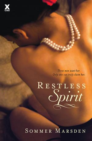 Cover of the book Restless Spirit by C. Brian Kelly