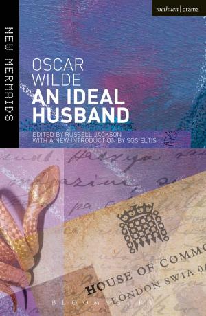 Cover of the book An Ideal Husband by Indira Falk Gesink