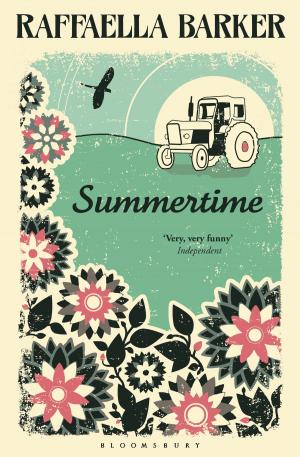 Cover of the book Summertime by Mr Roy Williams