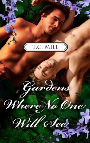 Cover of the book Gardens Where No One Will See by Julie Moffett
