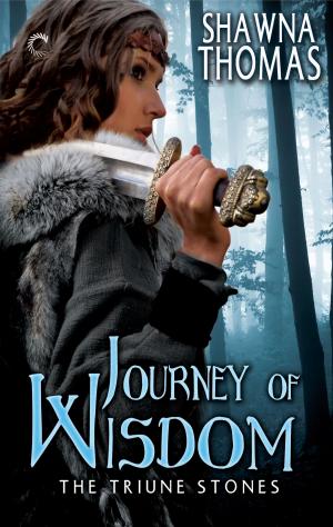 Cover of the book Journey of Wisdom by Lauren Dane