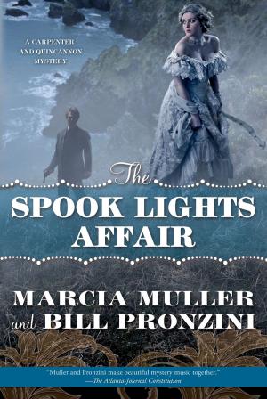 Book cover of The Spook Lights Affair