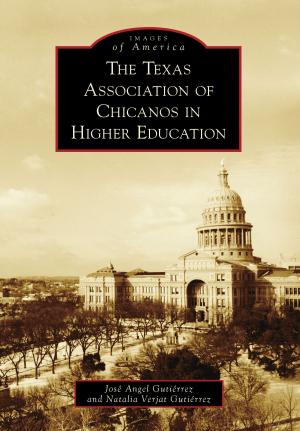 Cover of the book The Texas Association of Chicanos in Higher Education by Leo R. Ward