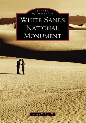 Cover of the book White Sands National Monument by Jane S. McAllister, Debra Dotson