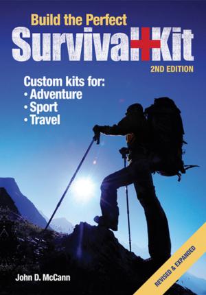 Cover of the book Build the Perfect Survival Kit by Julie Fei-Fan Balzer