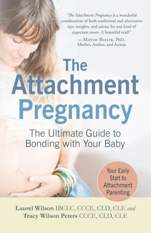 Cover of the book The Attachment Pregnancy by Gregory Bergman, Anthony W. Haddad