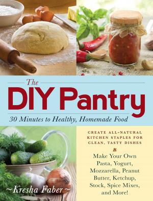 Cover of the book The DIY Pantry by Ashley Davis Bush, Daniel Arthur Bush