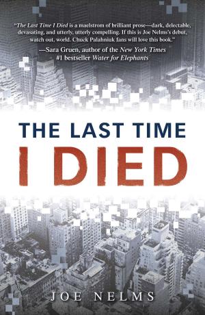 Book cover of The Last Time I Died