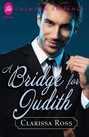 Cover of the book A Bridge for Judith by Clarissa Ross