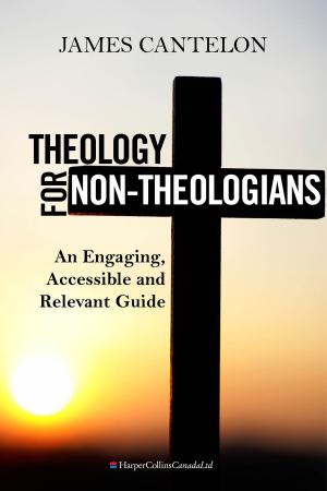 Cover of the book Theology For Non-Theologians by Dan Liebman