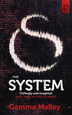 Cover of the book The System (The Killables Book Three) by Charity Pineiro