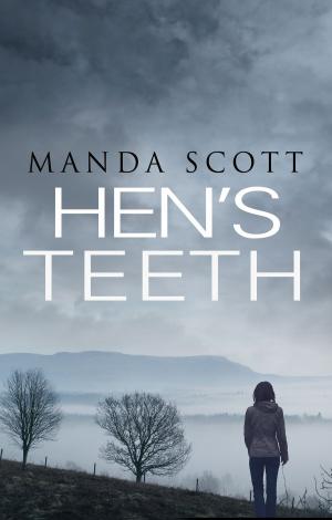Cover of the book Hen's Teeth by Paul Galvin