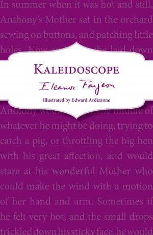 Cover of the book Kaleidoscope by Linda Newbery