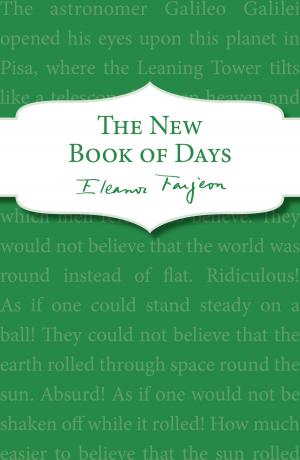Cover of The New Book of Days