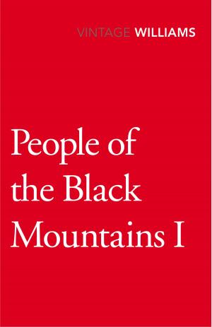 Book cover of People Of The Black Mountains Vol.I
