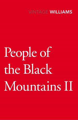 Book cover of People Of The Black Mountains Vol.Ii