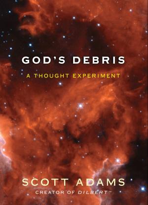 Cover of the book God's Debris by Sarah Cooper