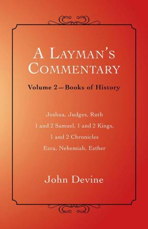 Cover of the book A Layman’S Commentary Volume 2 by P.W. Stowers