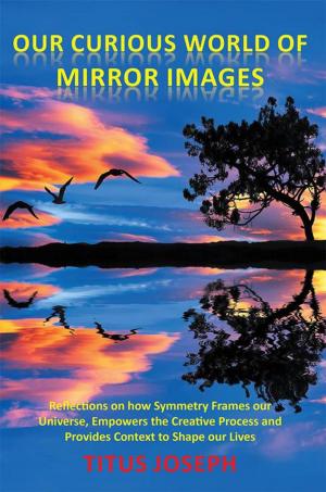Cover of the book Our Curious World of Mirror Images by Stevie Lee Honaker Ph.D.