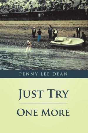 Cover of the book Just Try One More by Arnette Lamoreaux