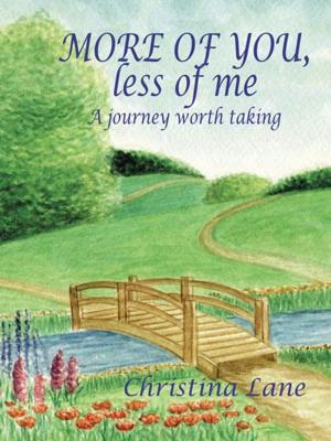Cover of the book More of You, Less of Me by Melissa Young-Dorn PhD
