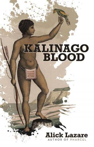 Cover of the book Kalinago Blood by Rodolfo Balao