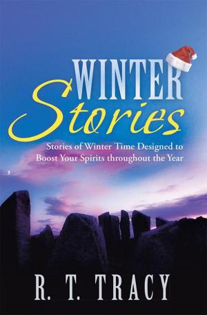 Cover of the book Winter Stories by Abdul B. Subhani
