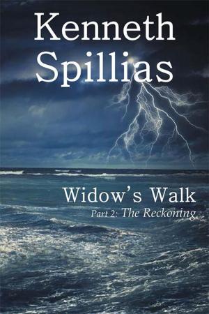 Book cover of Widow’S Walk