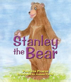 Book cover of Stanley the Bear