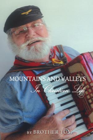 Cover of the book Mountains and Valleys in Christian Life by Marian Ritchie