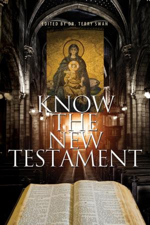 Book cover of Know the New Testament