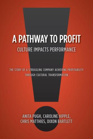 Book cover of A Pathway to Profit