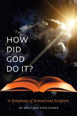 Cover of the book How Did God Do It? by Randi M. Sherman