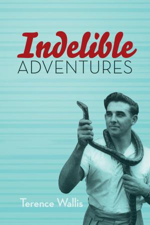 Cover of the book Indelible Adventures by Karen Trollope-Kumar