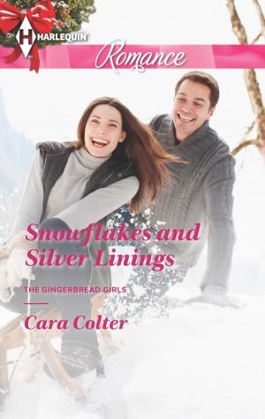 Book cover of Snowflakes and Silver Linings