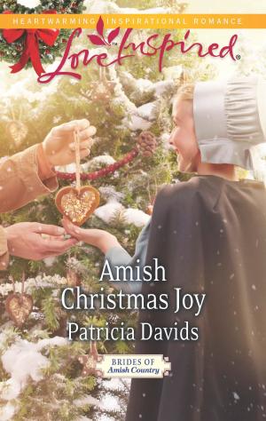 Cover of the book Amish Christmas Joy by Lucie Castel