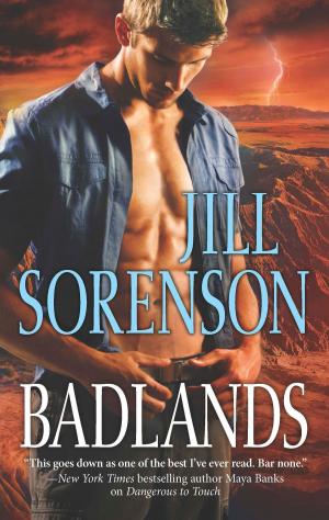 Cover of the book Badlands by Bryce Washington, Shawn Ethan