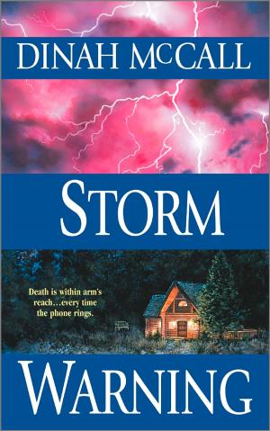 Cover of the book STORM WARNING by Karen Harper