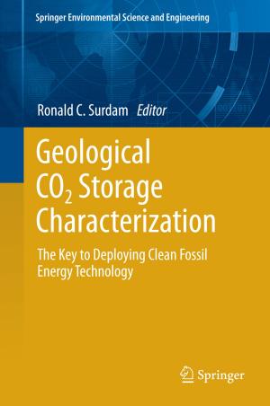 Cover of the book Geological CO2 Storage Characterization by Joseph D. Khoury, L. Jeffrey Medeiros, Roberto N. Miranda